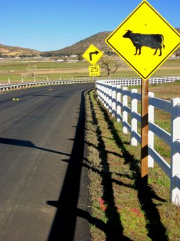 Browns Road on Viejas Rez by N Gould